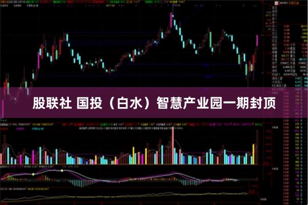 股联社 国投（白水）智慧产业园一期封顶