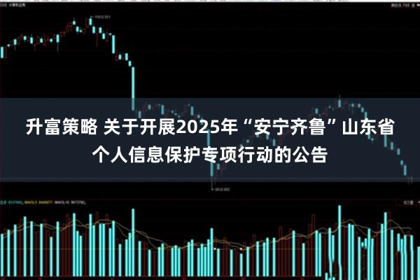 升富策略 关于开展2025年“安宁齐鲁”山东省个人信息保护专项行动的公告