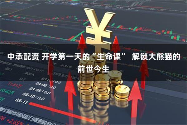 中承配资 开学第一天的“生命课”  解锁大熊猫的前世今生