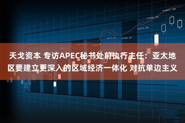 天戈资本 专访APEC秘书处前执行主任：亚太地区要建立更深入的区域经济一体化 对抗单边主义