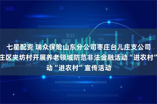 七星配资 瑞众保险山东分公司枣庄台儿庄支公司走进台儿庄区夹坊村开展养老领域防范非法金融活动“进农村”宣传活动