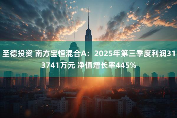 至德投资 南方宝恒混合A：2025年第三季度利润313741万元 净值增长率445%