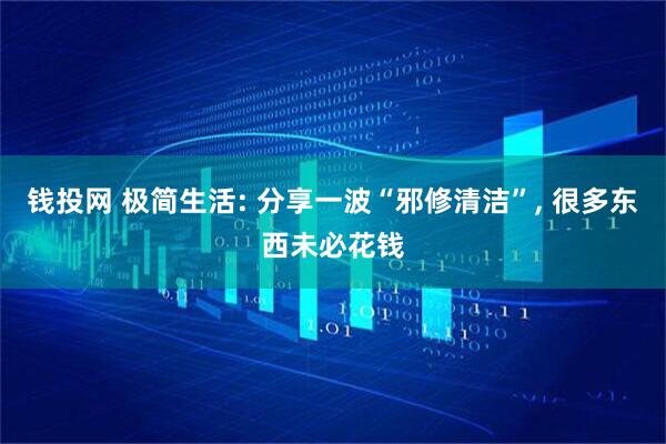 钱投网 极简生活: 分享一波“邪修清洁”, 很多东西未必花钱